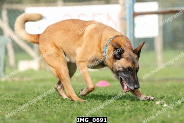 IMG_0691.jpg