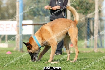 IMG_0707.jpg