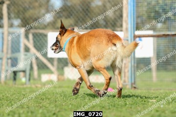 IMG_0720.jpg