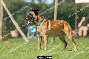 IMG_0749.jpg