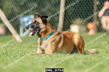 IMG_0754.jpg