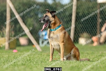 IMG_0762.jpg
