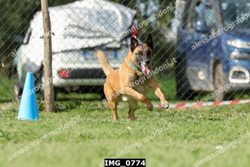 IMG_0774.jpg
