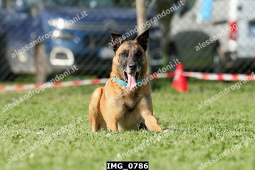 IMG_0786.jpg