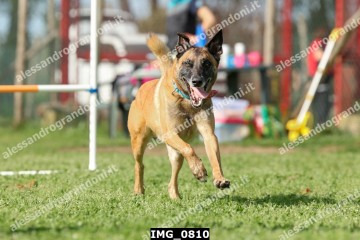 IMG_0810.jpg