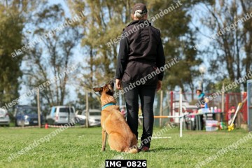 IMG_0826.jpg