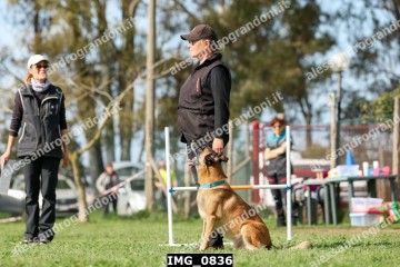 IMG_0836.jpg