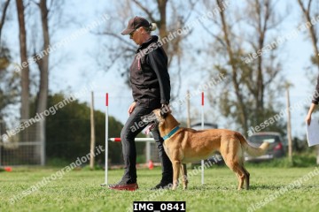 IMG_0841.jpg