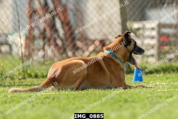 IMG_0885.jpg