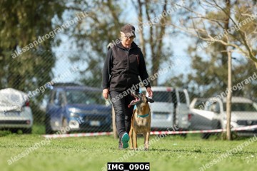 IMG_0906.jpg