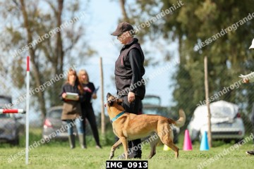 IMG_0913.jpg