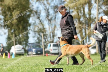 IMG_0976.jpg