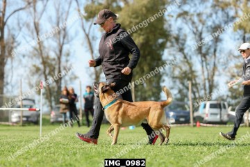 IMG_0982.jpg