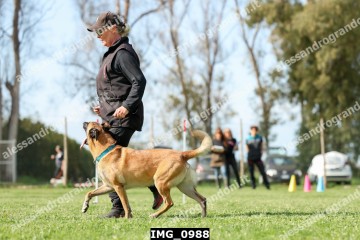 IMG_0988.jpg