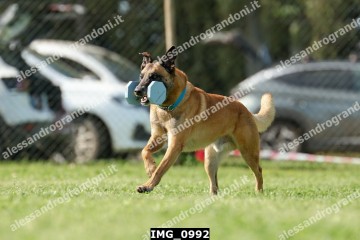 IMG_0992.jpg