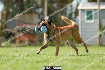 IMG_0999.jpg