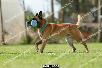 IMG_1004.jpg