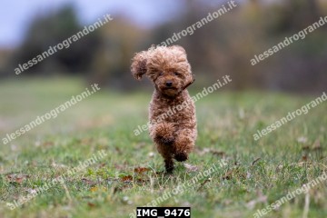 IMG_9476.jpg