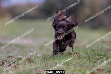 IMG_9532.jpg