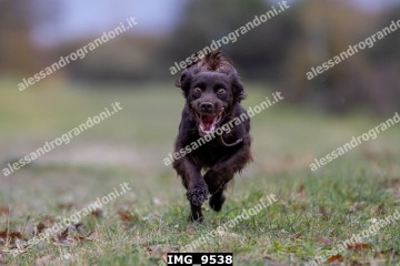 IMG_9538.jpg