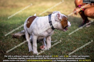 496A0963.jpg