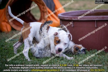 496A0964.jpg