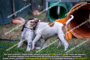 496A0968.jpg