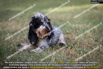 496A0971.jpg