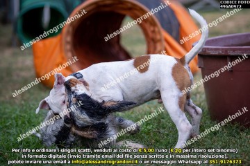 496A0972.jpg