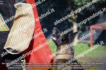 496A2105.jpg