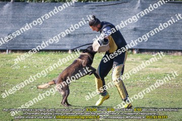 496A2119.jpg