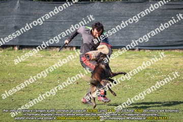 496A2148.jpg