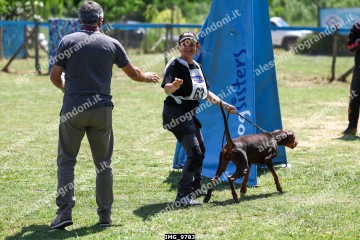 IMG_9783.jpg