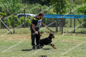 IMG_9797.jpg