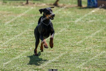 IMG_9815.jpg