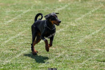 IMG_9827.jpg