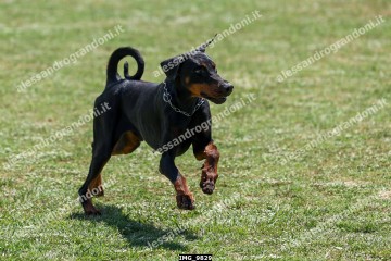 IMG_9829.jpg