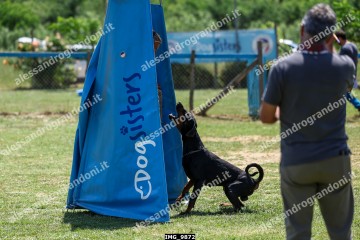 IMG_9872.jpg