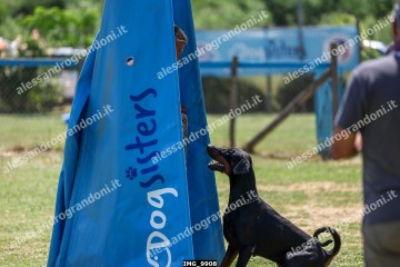 IMG_9908.jpg