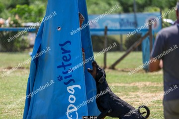 IMG_9918.jpg