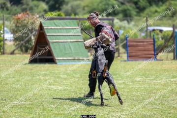 LMG_0004.jpg