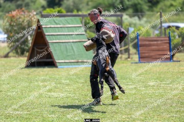 LMG_0006.jpg
