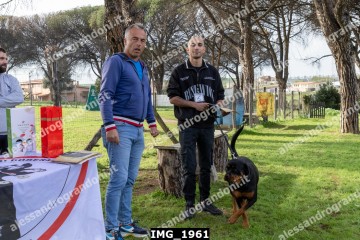 IMG_1961.jpg
