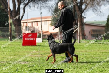 IMG_2881.jpg