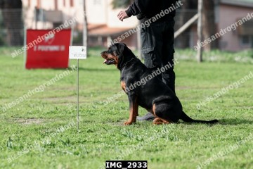 IMG_2933.jpg
