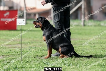IMG_2938.jpg