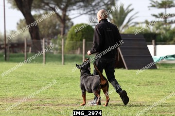 IMG_2974.jpg