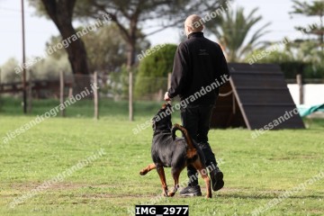 IMG_2977.jpg
