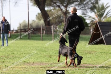 IMG_2986.jpg
