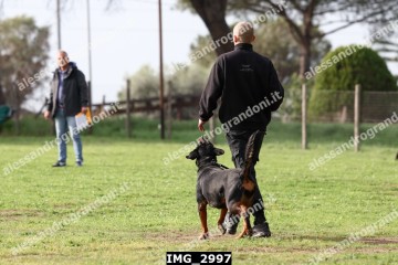 IMG_2997.jpg